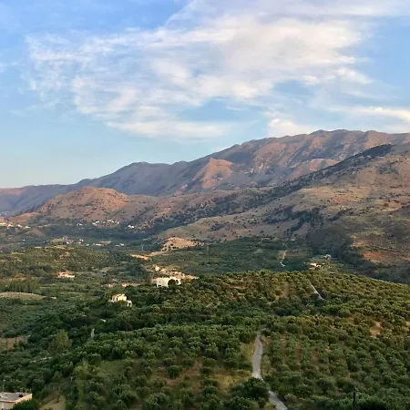 Marjoram - Morfi Village