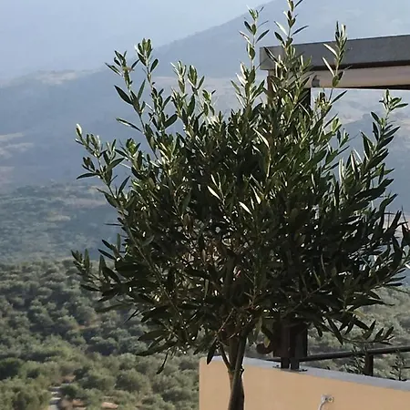 Marjoram - Morfi Village