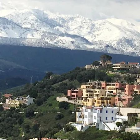 Marjoram - Morfi Village *