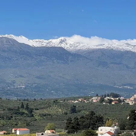 Marjoram - Morfi Village